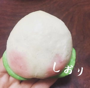 しおり