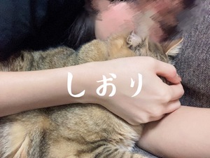 しおり