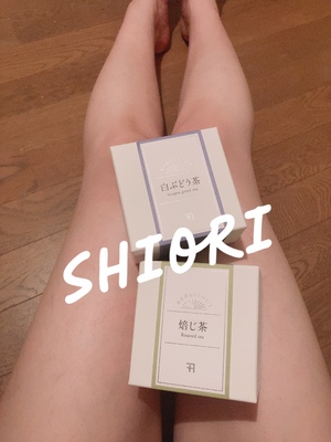 しおり