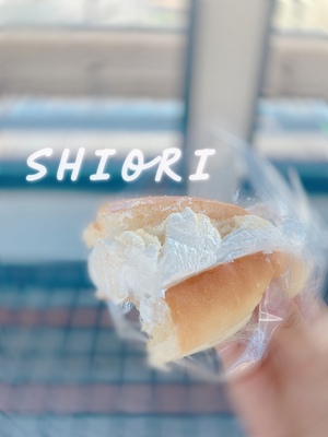 しおり