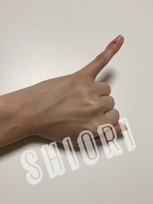 しおり