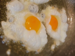 しおり