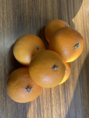 しおり