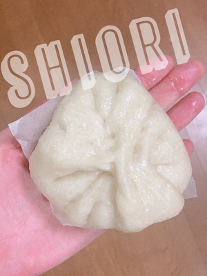 しおり