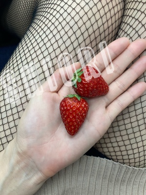 しおり