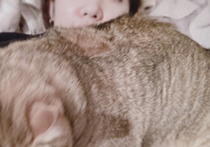 しおり