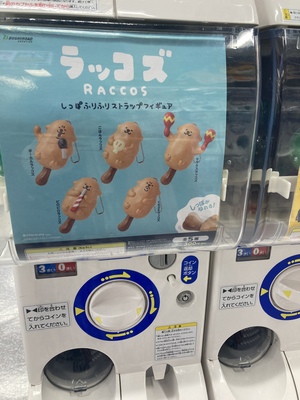 しおり