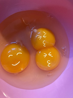 しおり