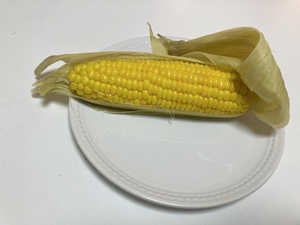 しおり