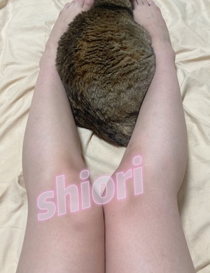 しおり