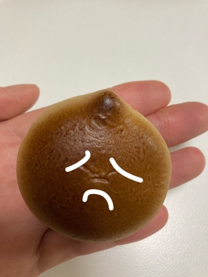 しおり