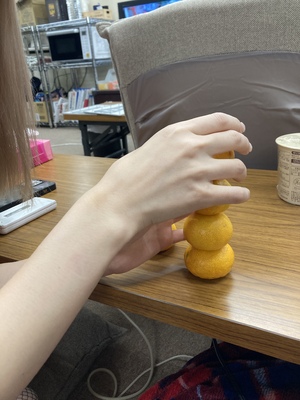 しおり
