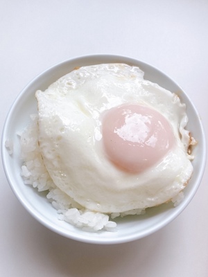 しおり