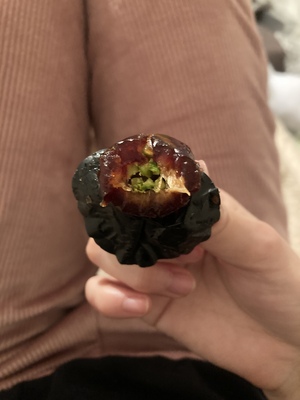 しおり