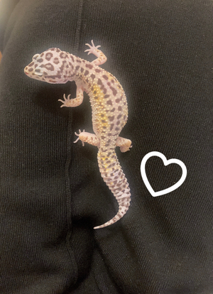 しおり