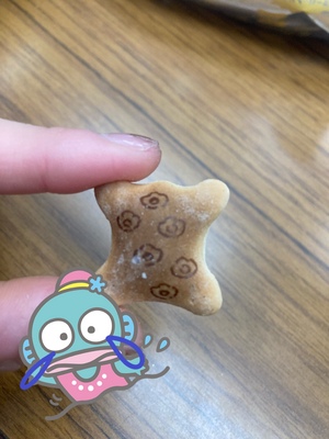 しおり