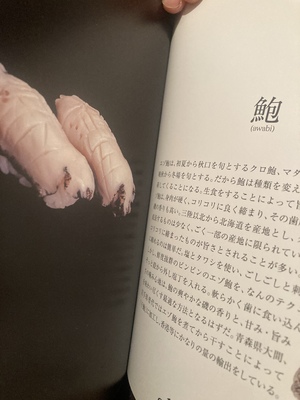 しおり