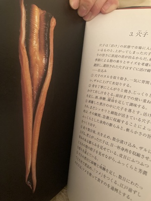 しおり