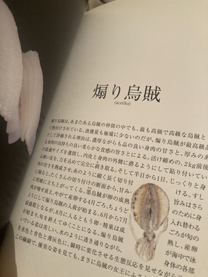 しおり