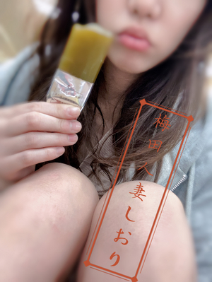 しおり