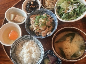 しおり