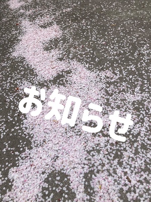 しおり