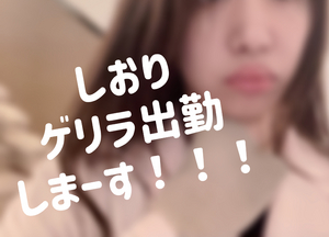 しおり