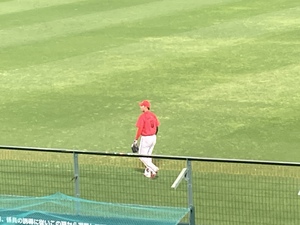 しおり