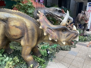 しおり
