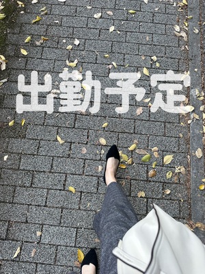 しおり
