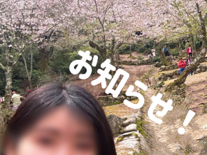 しおり
