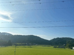 しおり
