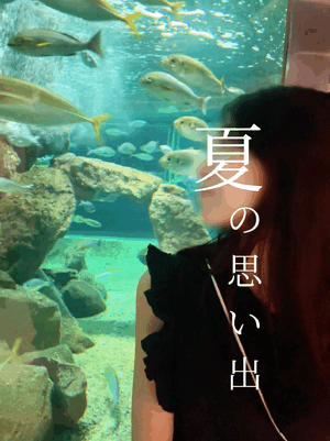 しおり
