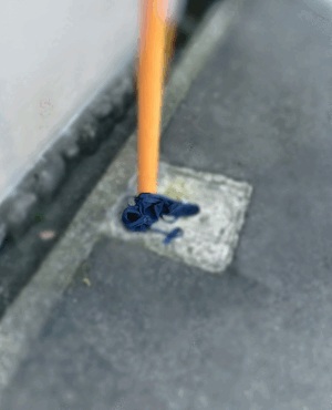 しおり