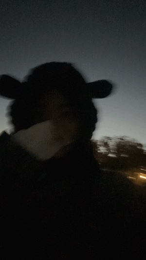 しおり
