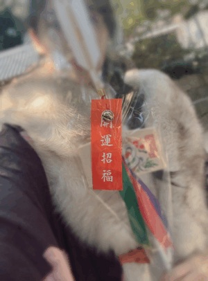 しおり