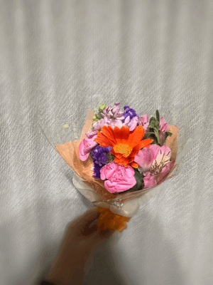 しおり