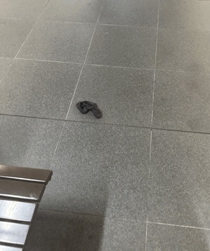 しおり