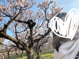 しおり
