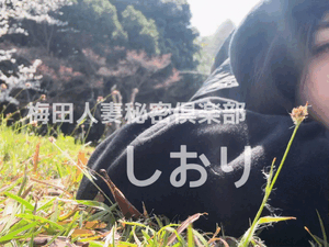 しおり