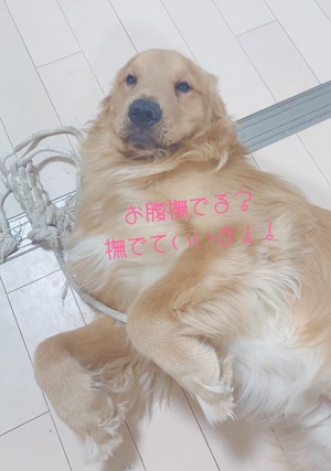みなみ 写メ