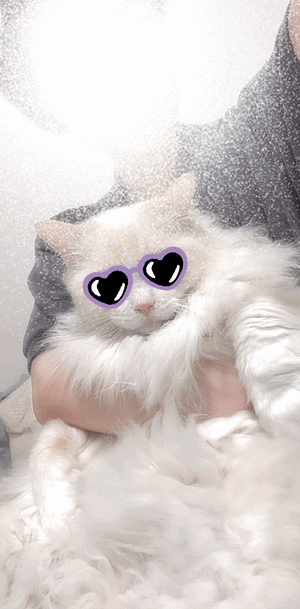 みき