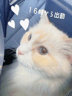 みき