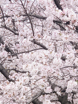 なお