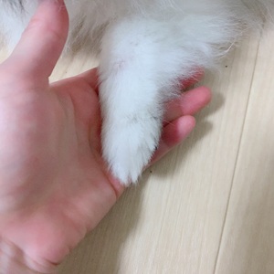 なお