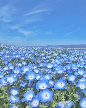 なお