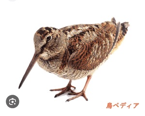 なお
