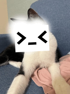 なお