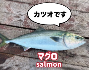 ゆい