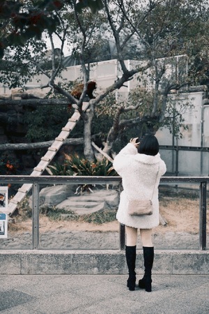 ゆい